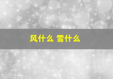 风什么 雪什么